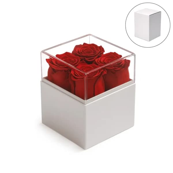 Forever Natural Flowers Gift Box White, Clear Acrylic Lid, 4Pcs Long Life Roses
